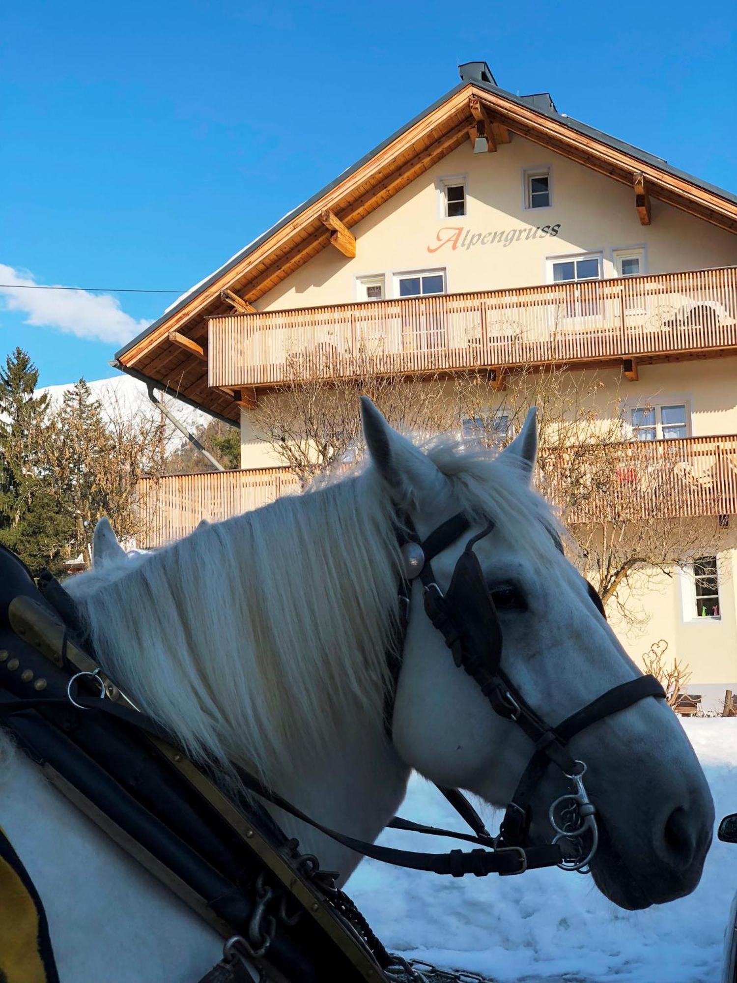 Hannas Alpengruss Apartment - Zimmer Seefeld in Tirol Ngoại thất bức ảnh