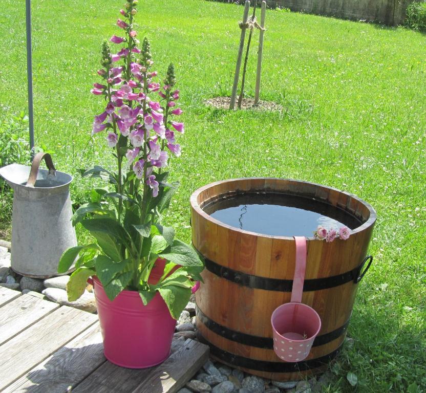 Hannas Alpengruss Apartment - Zimmer Seefeld in Tirol Ngoại thất bức ảnh